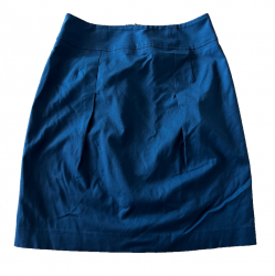 Max&Co. Skirt