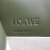 Loewe Cushion
