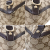 Gucci GG pattern