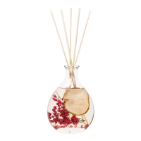 StoneGlow 'Apple Blossom' Reed Diffuser - 200 ml
