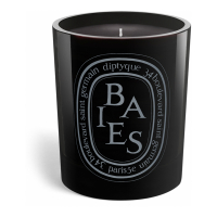 Diptyque 'Baies' Scented Candle - 300 g