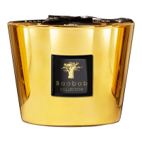 Baobab Collection 'Aurum Max 10' Candle - 1.3 Kg