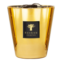 Baobab Collection 'Aurum Max 16' Candle - 2.3 Kg