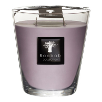 Baobab Collection 'White Rhino Max 16' Candle - 2.3 Kg