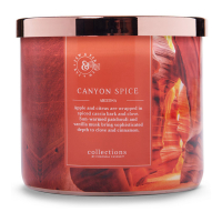 Colonial Candle 'Canyon Spice' Duftende Kerze - 411 g