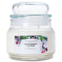 Colonial Candle Bougie parfumée 'Terrace Jar' - Snowberry Citrus 255 g