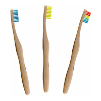 Dr. Botanicals Étui de la brosse à dents 'Bamboo' - 3 Pièces