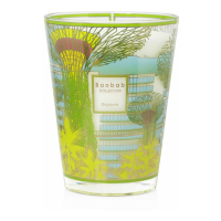 Baobab Collection 'Singapore' Scented Candle - 16 cm x 10 cm