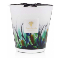 Baobab Collection 'Amazonia' Scented Candle - 16 cm x 16 cm