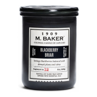 Colonial Candle 'Blackberry Briar' Scented Candle - 226 g