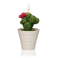 Versa Home Bougie 'Cactus With Pot'