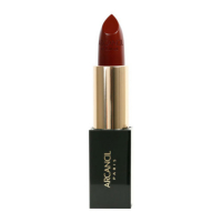 Arcancil 'Caresse de Rouge' Lipstick - 380 Prune 4 g