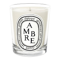 Diptyque 'Ambre' Scented Candle - 190 g