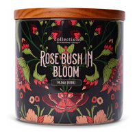 Colonial Candle Bougie parfumée 'Rose Bush in Bloom' - 411 g