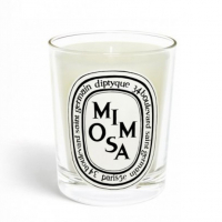 Diptyque 'Mimosa' Scented Candle - 190 g