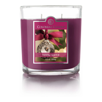 Colonial Candle Bougie 2 mèches 'Holiday Sparkle' - 296 g