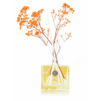 Ashleigh & Burwood 'Orange Blossom & Mandarin' Diffuser - 150 ml