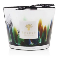Baobab Collection Candle Rainforest Amazonia Max 10 cm