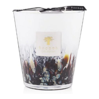 Baobab Collection Candle Rainforest Tanjung Max 16 cm