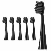 Ailoria 'Shine Bright Extra Clean' Toothbrush Head Set - 6 Pieces