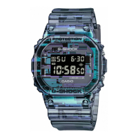 Casio Men's 'DW-5600NN-1ER' Watch