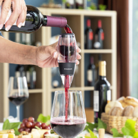 Innovagoods Aérateur De Vin Avec Filtre, Support Et Pochette De Transport Wineir