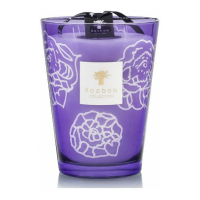 Baobab Collection 'Collectible Roses Dark Parma Max 24' Candle - 5.2 Kg
