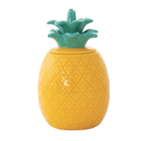 Easy Life Pineapple-Shaped Jar 9x9x15cm in Porcelain in-Green Color Box