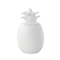 Easy Life Pineapple-Shaped Jar 11x11x18cm in Porcelain in Color Box