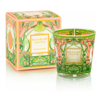 Baobab Collection 'My First Baobab Tomorrowland Max 08' Candle - 600 g