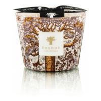 Baobab Collection 'Sacred Trees Dualla Max 10' Scented Candle - 1.3 Kg
