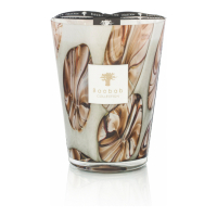 Baobab Collection 'Oceania Anangu' Scented Candle - 5.3 Kg