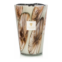 Baobab Collection 'Oceania Anangu Max 35' Scented Candle - 10.35 Kg