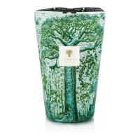 Baobab Collection 'Sacred Trees Kamalo Max 35' Scented Candle - 10.35 Kg