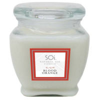 The SOi Company Candle -  500 g