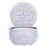 The SOi Company 'Aqua de SOi Anjou Melon' Kerze - 266 g