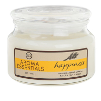 The SOi Company 'Aroma Essentials Happiness' Kerze im Glas