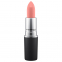 'Powder Kiss' Lipstick - RevereNCe 3 g