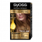 Teinture pour cheveux 'Oleo Intense Permanent Oil' - 8-60 Honey Blonde