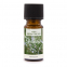 Fragrance d'Huile 'Rosemary' - 10 ml
