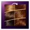 Couleur des Cheveux '100% Cobertura De Canas' - 3/4 Hypnotic Dark Brown 4 Unités