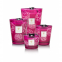 'Collectible Roses Burgundy' Candle - 2.2 Kg
