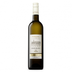 Parfum de Vigne - Regis Widmer Grain Blanc 2022 75 Cl