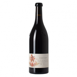 Weingut Krebs & Steiner Pinot Noir Bärnerwy 2022 75 Cl