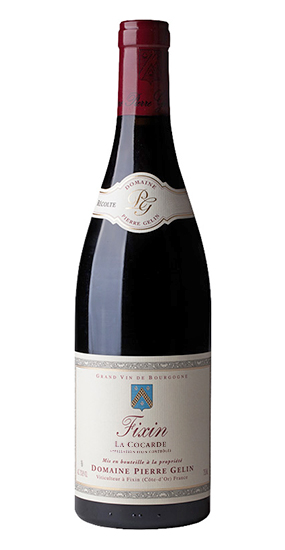 Domaine Pierre Gelin Fixin 