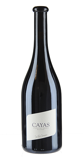 Jean-René Germanier Syrah Cayas 2019 75cl
