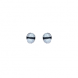 Swarovski Pierced pointiage Earrings 