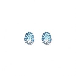 Swarovski Pierced pointiage earrings