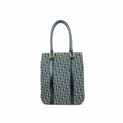 dior canvas bag price