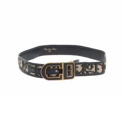 Christian Dior belt